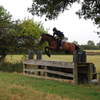 Earls Court - More advanced schooling XC